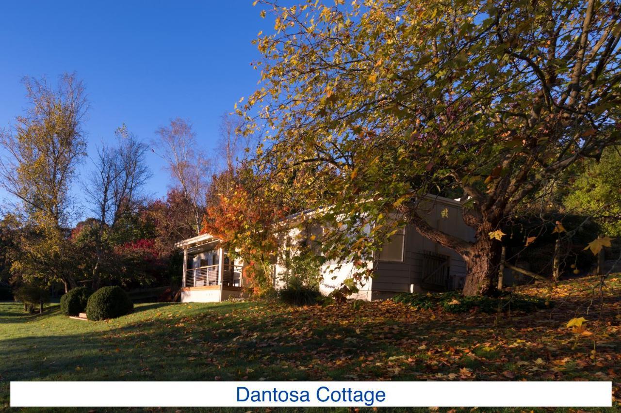 Dantosa Blue Mountains Retreat Villa Katoomba Exterior foto